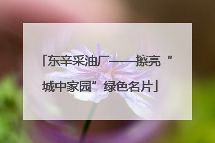 东辛采油厂——擦亮“城中家园”绿色名片