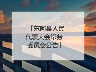 东阿县人民代表大会常务委员会公告
