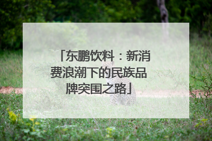 东鹏饮料：新消费浪潮下的民族品牌突围之路