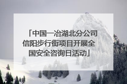 中国一冶湖北分公司信阳步行街项目开展全国安全咨询日活动