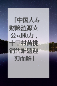 中国人寿财险涟源支公司助力，十甲村黄桃销售难题迎刃而解
