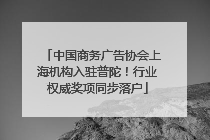 中国商务广告协会上海机构入驻普陀！行业权威奖项同步落户