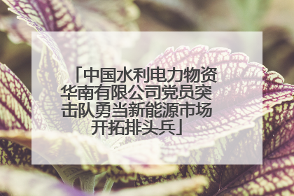 中国水利电力物资华南有限公司党员突击队勇当新能源市场开拓排头兵