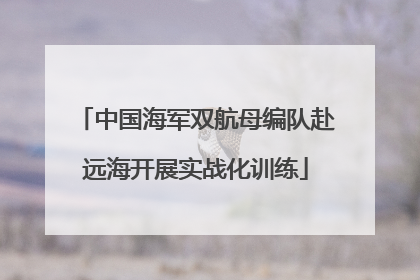 中国海军双航母编队赴远海开展实战化训练
