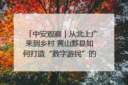 中安观察｜从北上广来到乡村 黄山黟县如何打造“数字游民”的“桃花源”？