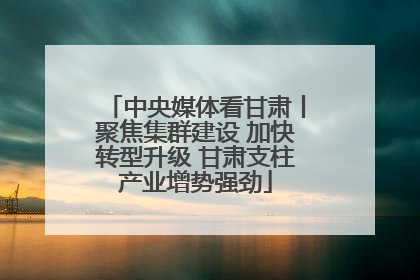 中央媒体看甘肃丨聚焦集群建设 加快转型升级 甘肃支柱产业增势强劲