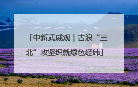 中新武威观｜古浪“三北”攻坚织就绿色经纬
