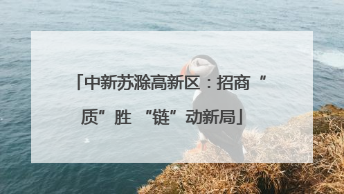 中新苏滁高新区：招商“质”胜 “链”动新局