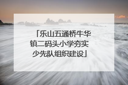 乐山五通桥牛华镇二码头小学夯实少先队组织建设