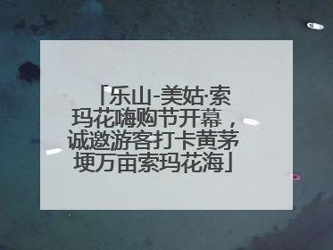 乐山-美姑·索玛花嗨购节开幕，诚邀游客打卡黄茅埂万亩索玛花海