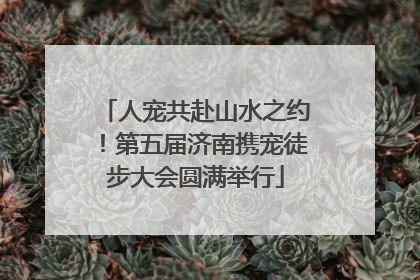 人宠共赴山水之约！第五届济南携宠徒步大会圆满举行