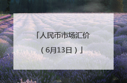 人民币市场汇价（6月13日）