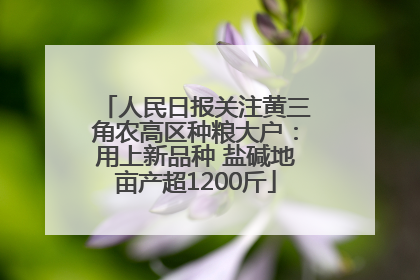 人民日报关注黄三角农高区种粮大户：用上新品种 盐碱地亩产超1200斤