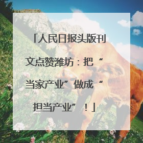 人民日报头版刊文点赞潍坊：把“当家产业”做成“担当产业”！