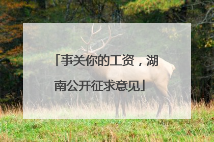事关你的工资，湖南公开征求意见