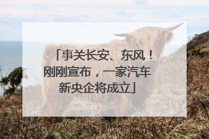 事关长安、东风！刚刚宣布，一家汽车新央企将成立