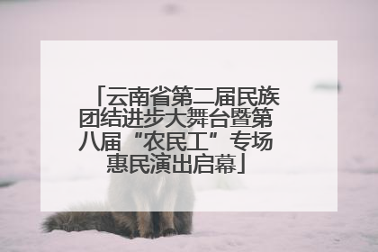 云南省第二届民族团结进步大舞台暨第八届“农民工”专场惠民演出启幕