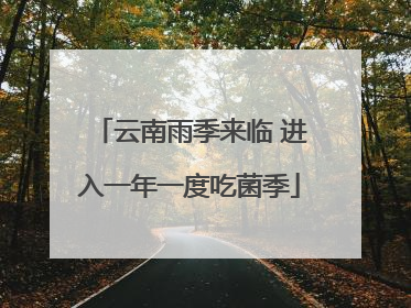 云南雨季来临 进入一年一度吃菌季