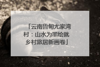 云南鲁甸尤家湾村：山水为墨绘就乡村旅居新画卷