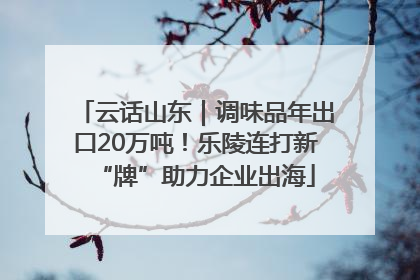 云话山东｜调味品年出口20万吨！乐陵连打新“牌”助力企业出海