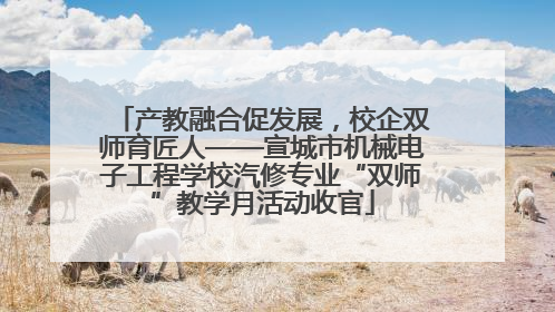 产教融合促发展，校企双师育匠人——宣城市机械电子工程学校汽修专业“双师”教学月活动收官
