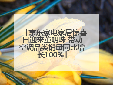 京东家电家居惊喜日迎来董明珠 带动空调品类销量同比增长100%