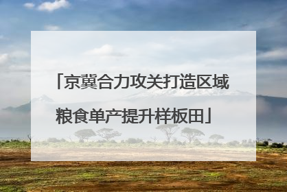 京冀合力攻关打造区域粮食单产提升样板田