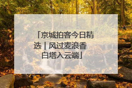 京城拍客今日精选｜风过麦浪香 白塔入云端