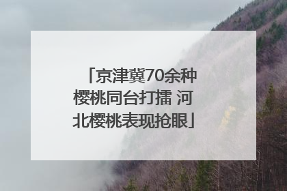 京津冀70余种樱桃同台打擂 河北樱桃表现抢眼