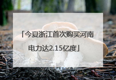今夏浙江首次购买河南电力达2.15亿度