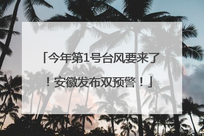 今年第1号台风要来了！安徽发布双预警！