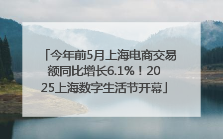 今年前5月上海电商交易额同比增长6.1%！2025上海数字生活节开幕