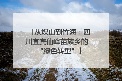 从煤山到竹海：四川宜宾仙峰苗族乡的“绿色转型”