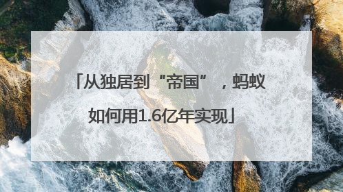 从独居到“帝国”，蚂蚁如何用1.6亿年实现