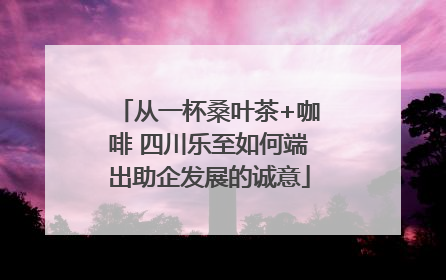 从一杯桑叶茶+咖啡 四川乐至如何端出助企发展的诚意