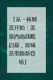 从一杯鲜茶开始：茶巢西南战略启幕，蓉城茶事焕新登场