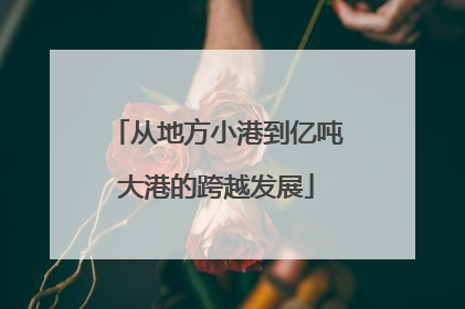 从地方小港到亿吨大港的跨越发展