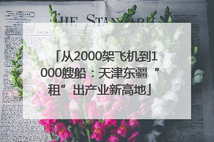 从2000架飞机到1000艘船：天津东疆“租”出产业新高地