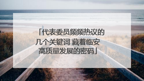 代表委员频频热议的几个关键词 藏着临安高质量发展的密码