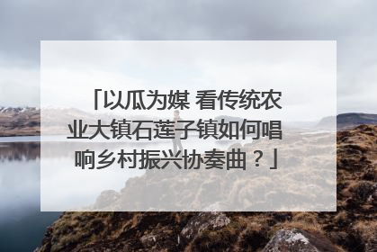 以瓜为媒 看传统农业大镇石莲子镇如何唱响乡村振兴协奏曲？