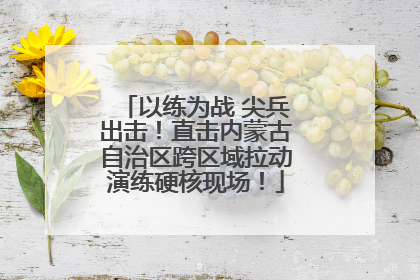以练为战 尖兵出击！直击内蒙古自治区跨区域拉动演练硬核现场！