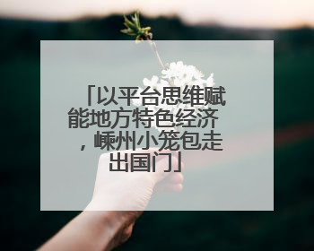 以平台思维赋能地方特色经济，嵊州小笼包走出国门