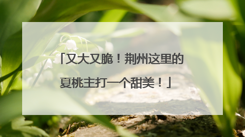 又大又脆！荆州这里的夏桃主打一个甜美！