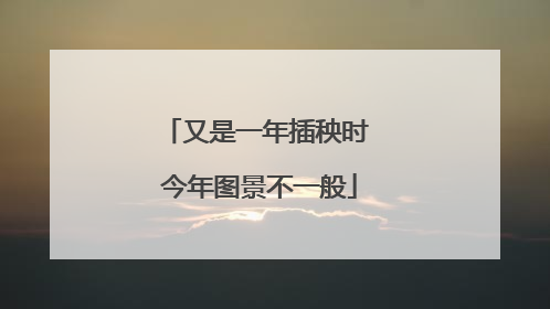 又是一年插秧时 今年图景不一般