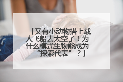 又有小动物搭上载人飞船去太空了！为什么模式生物能成为“探索代表”？
