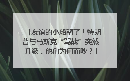 友谊的小船翻了！特朗普与马斯克“骂战”突然升级，他们为何而吵？