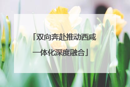 双向奔赴推动西咸一体化深度融合