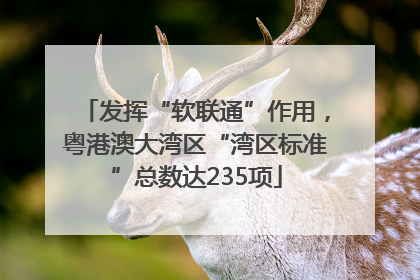 发挥“软联通”作用，粤港澳大湾区“湾区标准”总数达235项