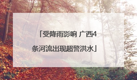 受降雨影响 广西4条河流出现超警洪水