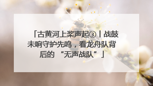 古黄河上桨声起③丨战鼓未响守护先鸣，看龙舟队背后的 “无声战队”